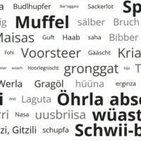Dialekt-Wörterbuch muntafunerisch.at